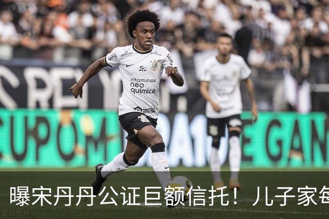曝宋丹丹公证巨额信托！儿子家每月领80万，财产分配没老伴名字