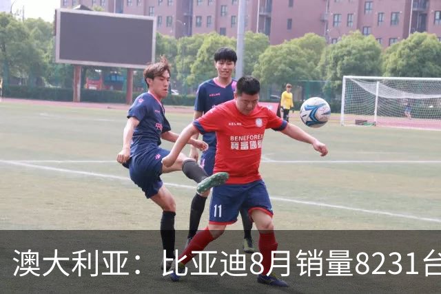 澳大利亚：比亚迪8月销量8231台，连续五个月蝉联第二