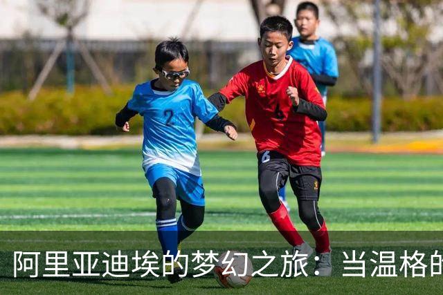 阿里亚迪埃的梦幻之旅：当温格的电话响起